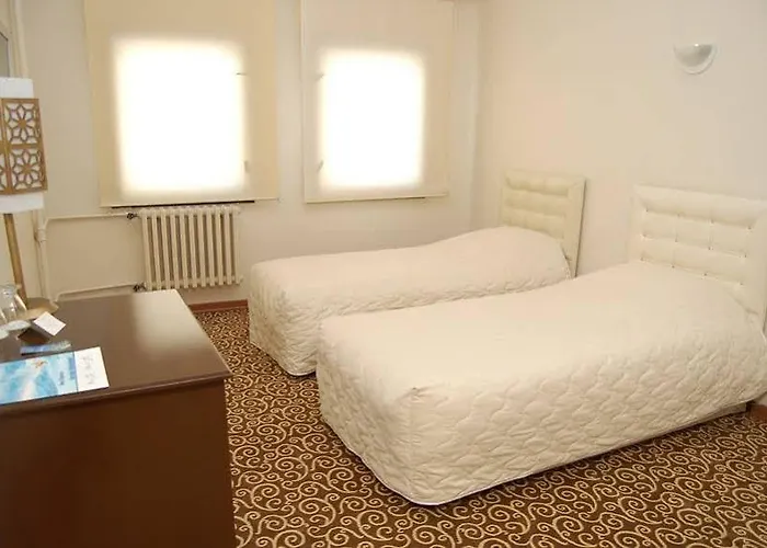 Mirada Del Monte Erciyes