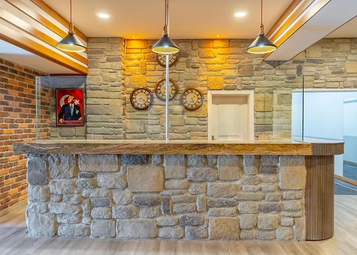 Mirada Del Monte Erciyes