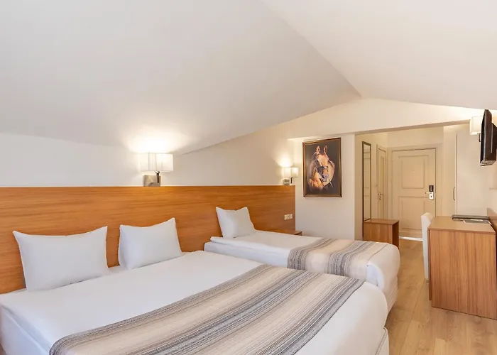 Mirada Del Monte Hotell Erciyes